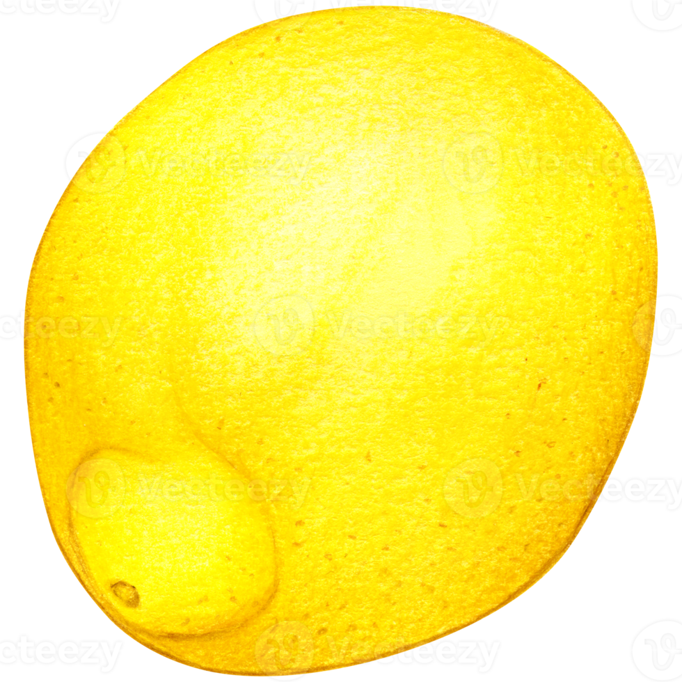 vattenfärg citron- illustration isolerat png