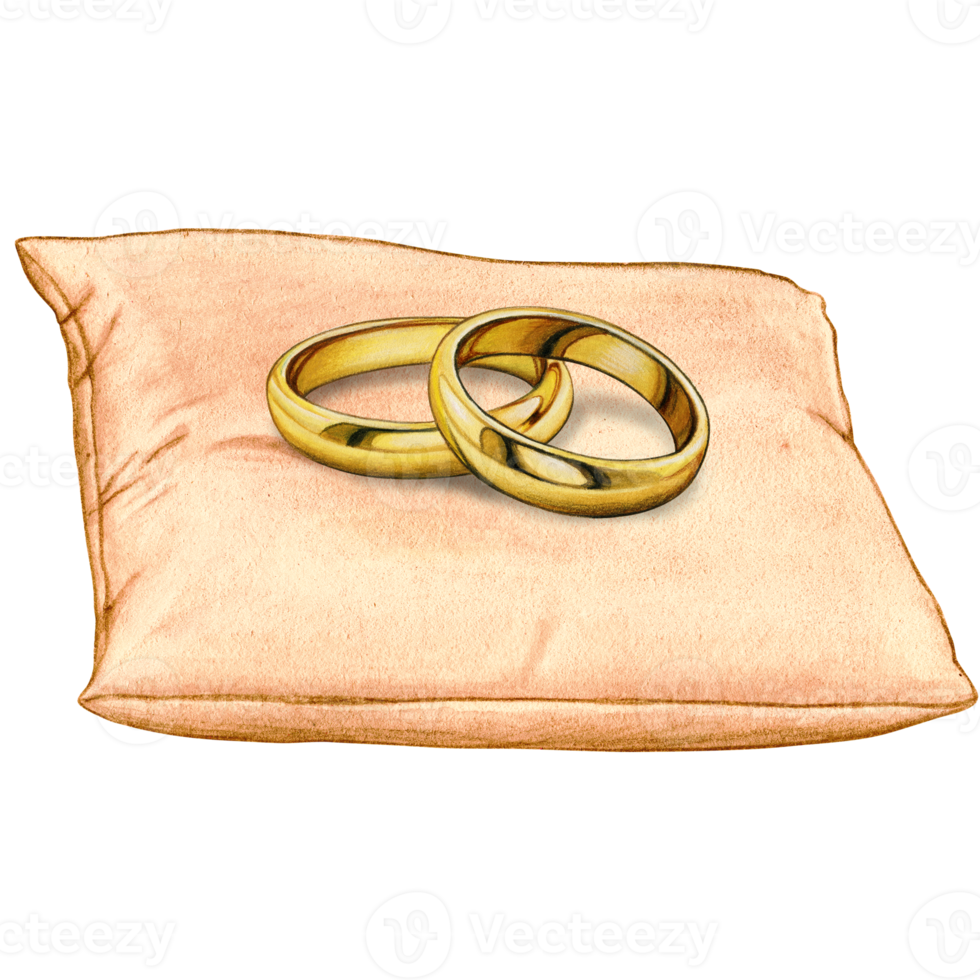 watercolor hand drawn wedding rings on cushion png