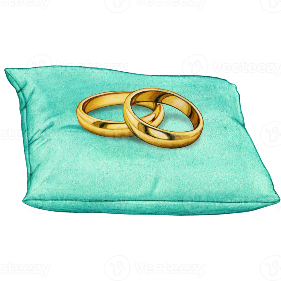 watercolor hand drawn wedding rings on cushion png