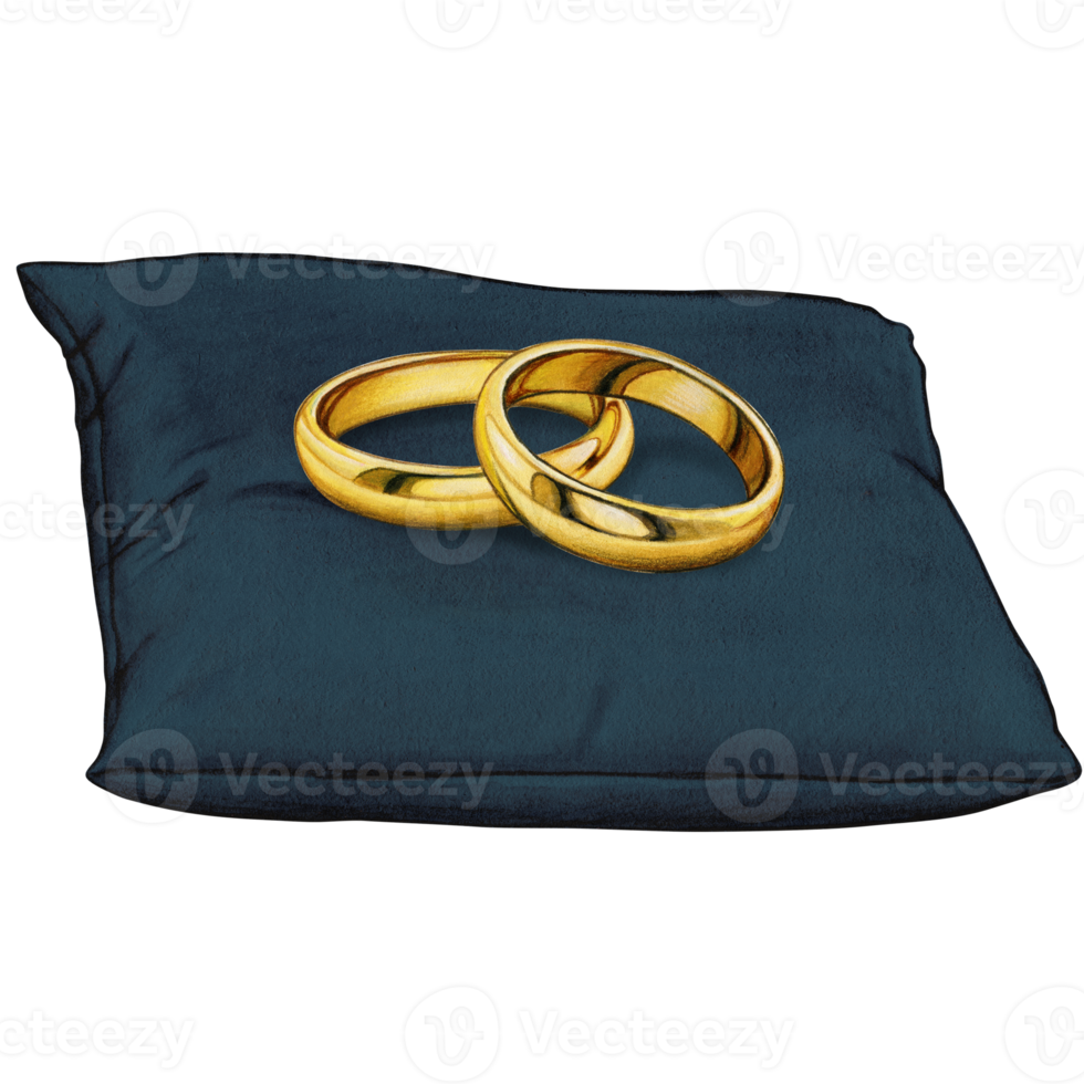 watercolor hand drawn wedding rings on cushion png