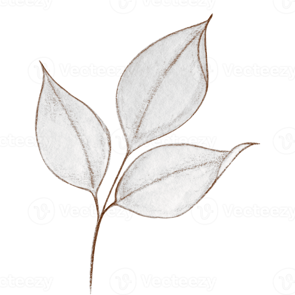 Watercolor delicate bright leaves branch png