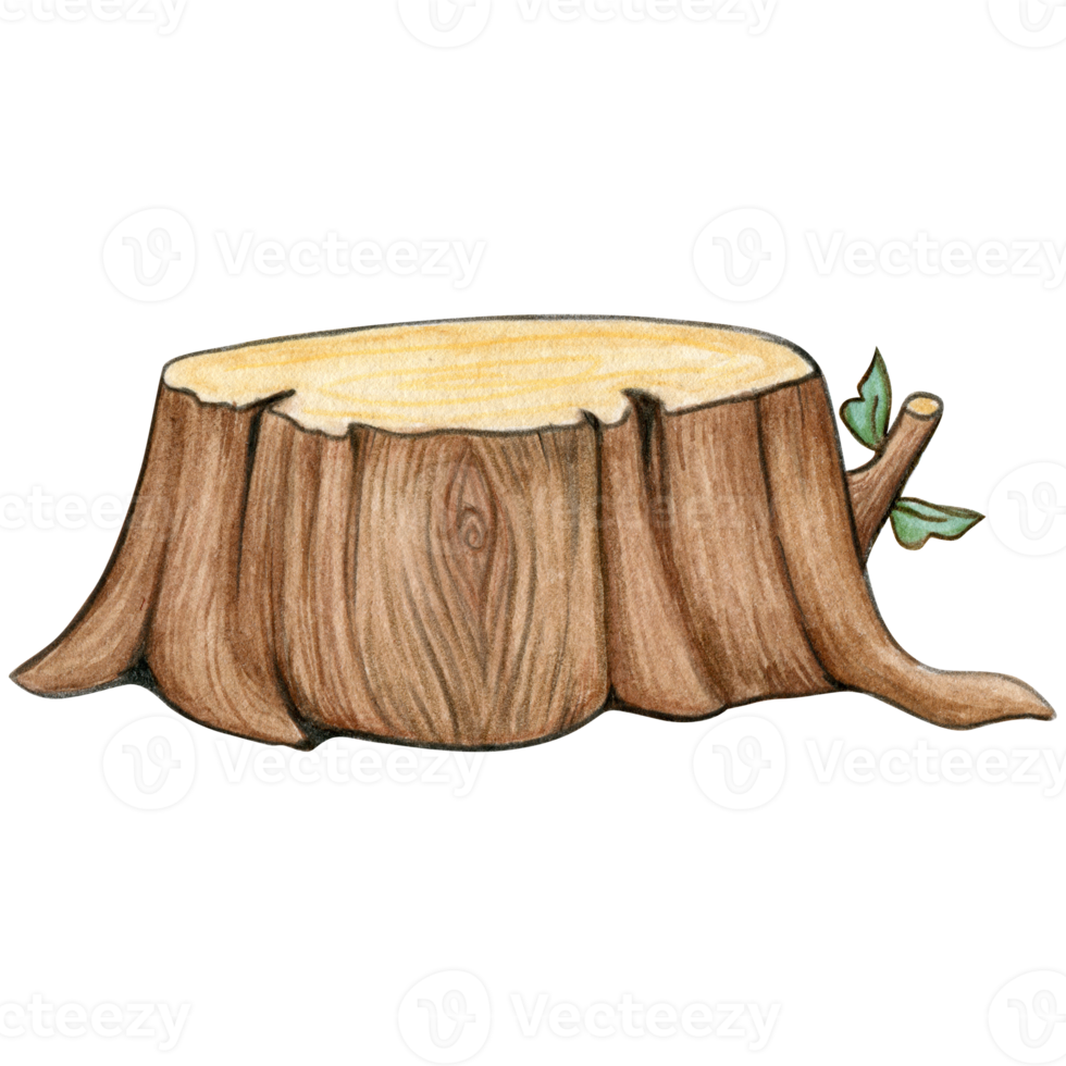 waercolor cartoon tree stump png