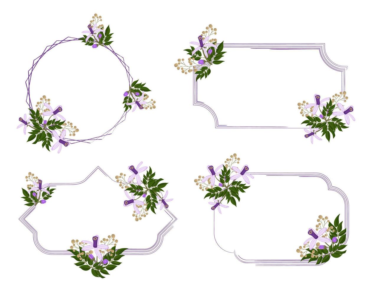 Set of floral frame with Chinaberry flower vector