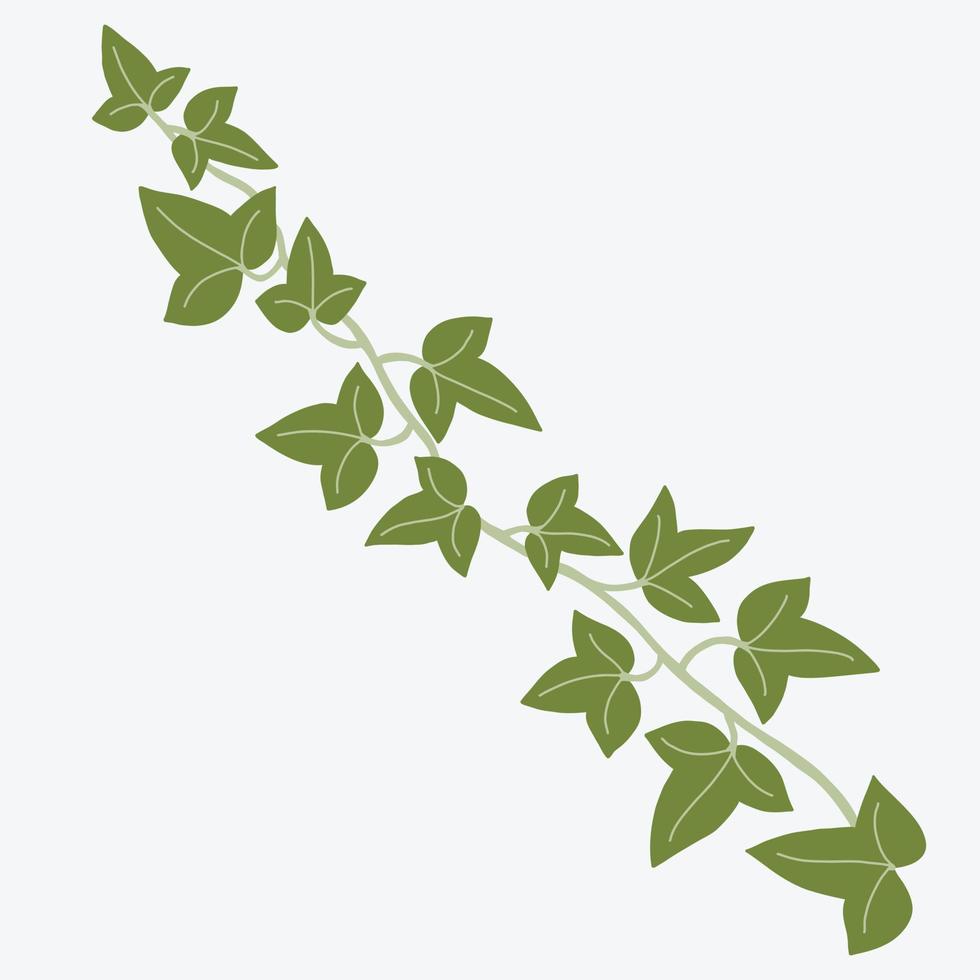 Floral ivy drawing decorative ornament flat design. vector