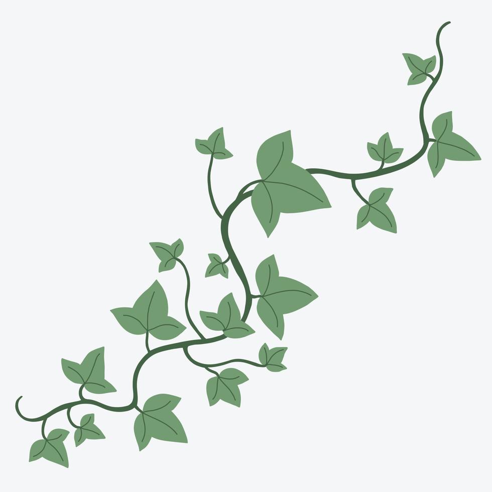 Floral ivy drawing decorative ornament flat design. vector