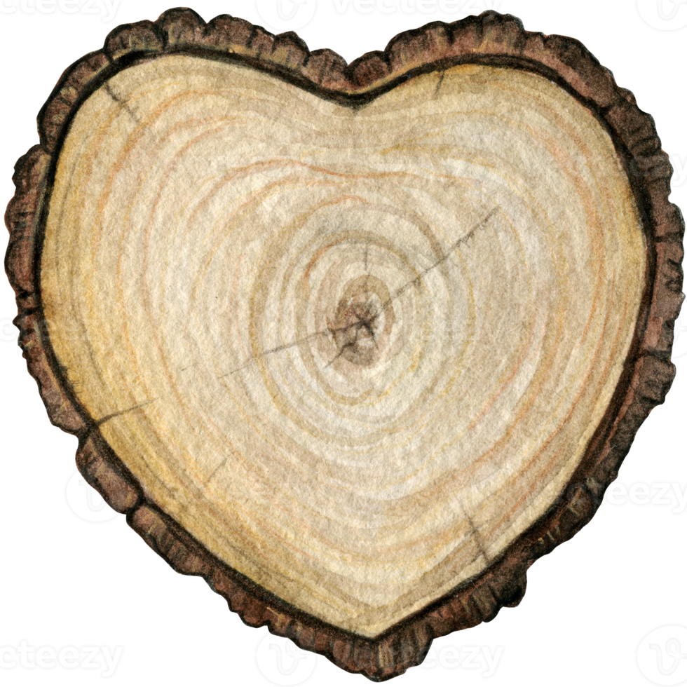 waterverf hand- getrokken rustiek houten hart decoratie png