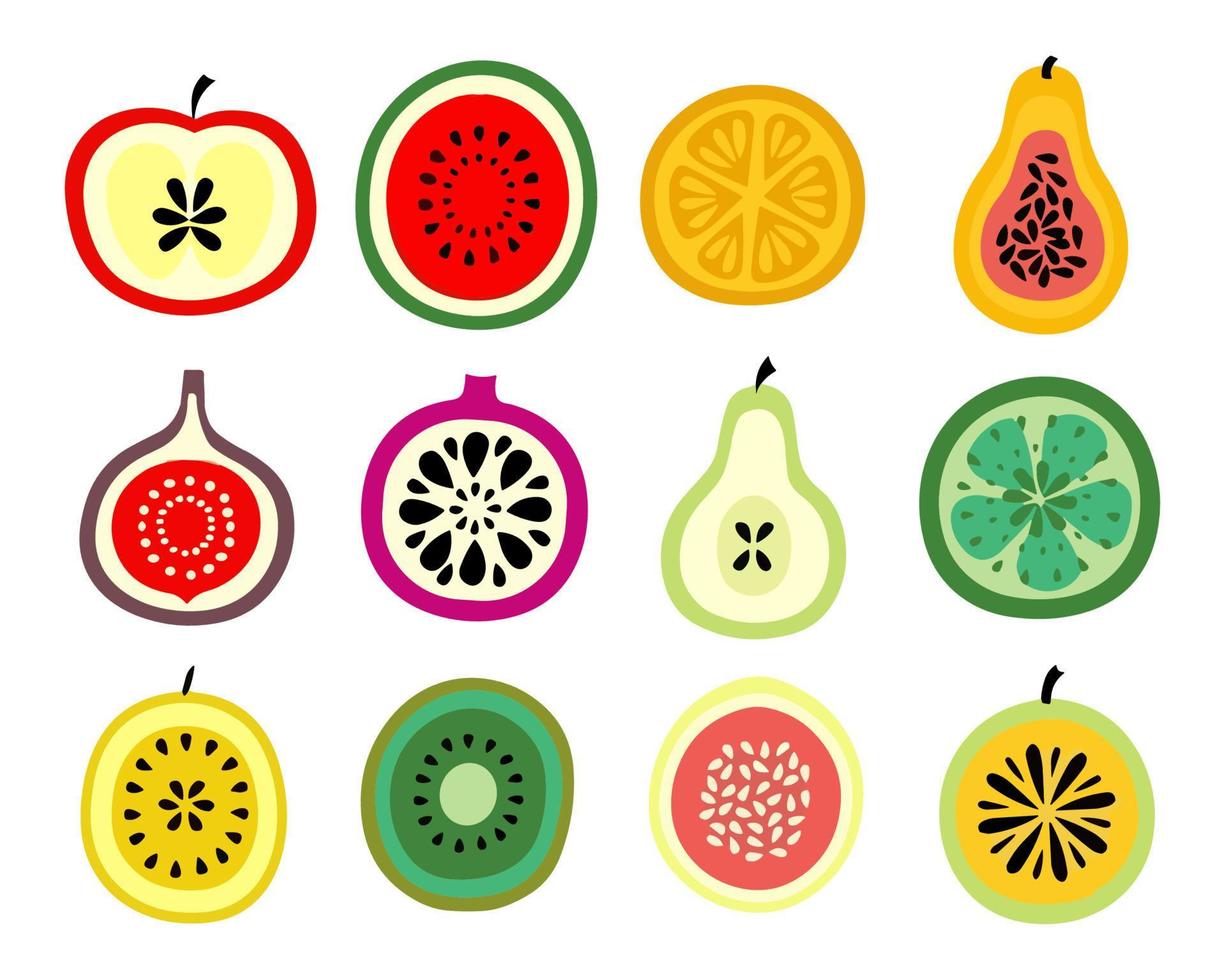 Fruits set including a variety of fruits. vector