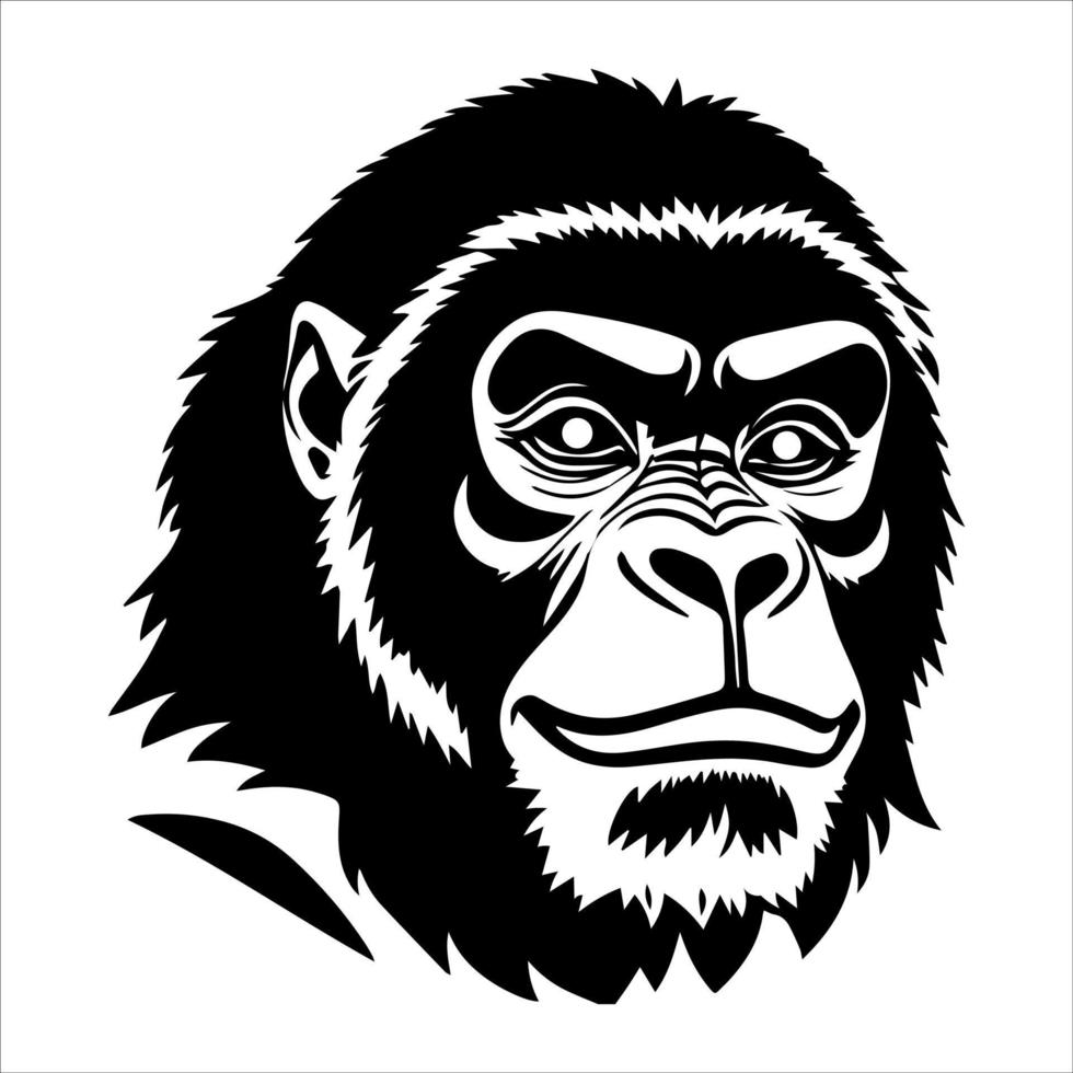 Gorilla head. vector graphic illustration black and white