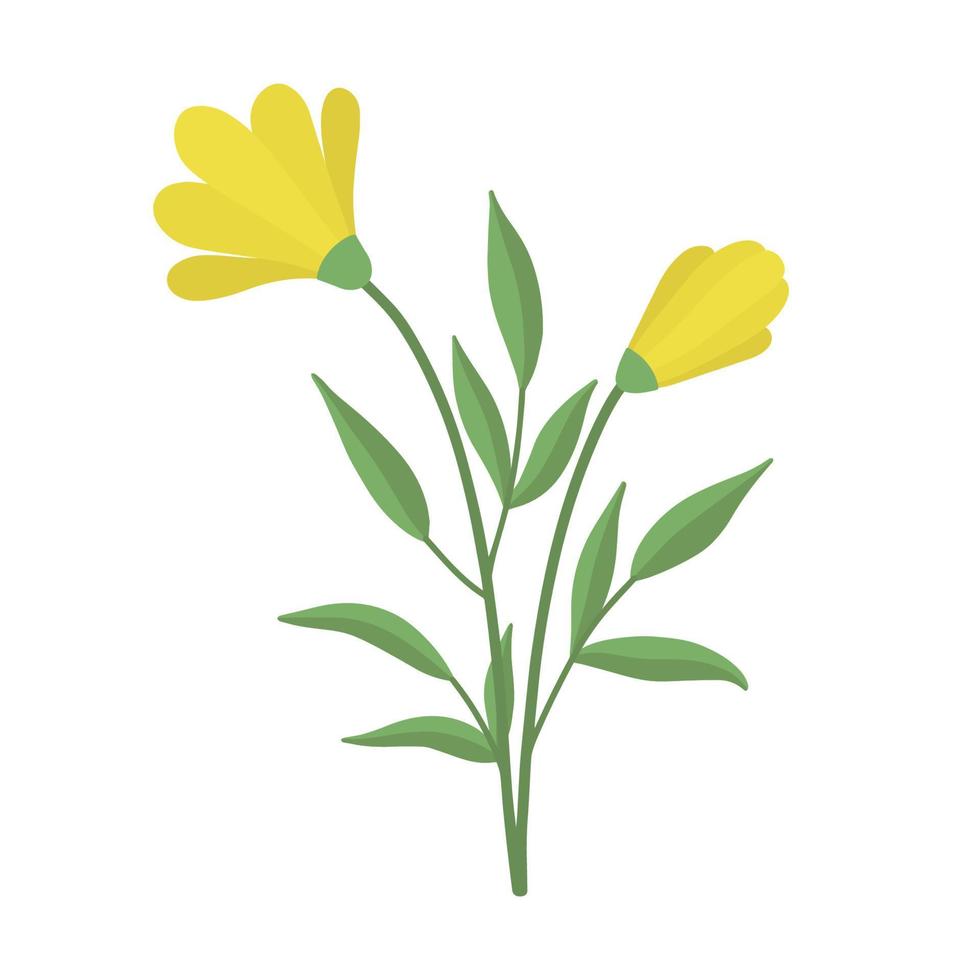 A delicate sprig of yellow flowers. Vector illustration of vintage cute yellow flowers. Delicate flower for decoration. Isolated.