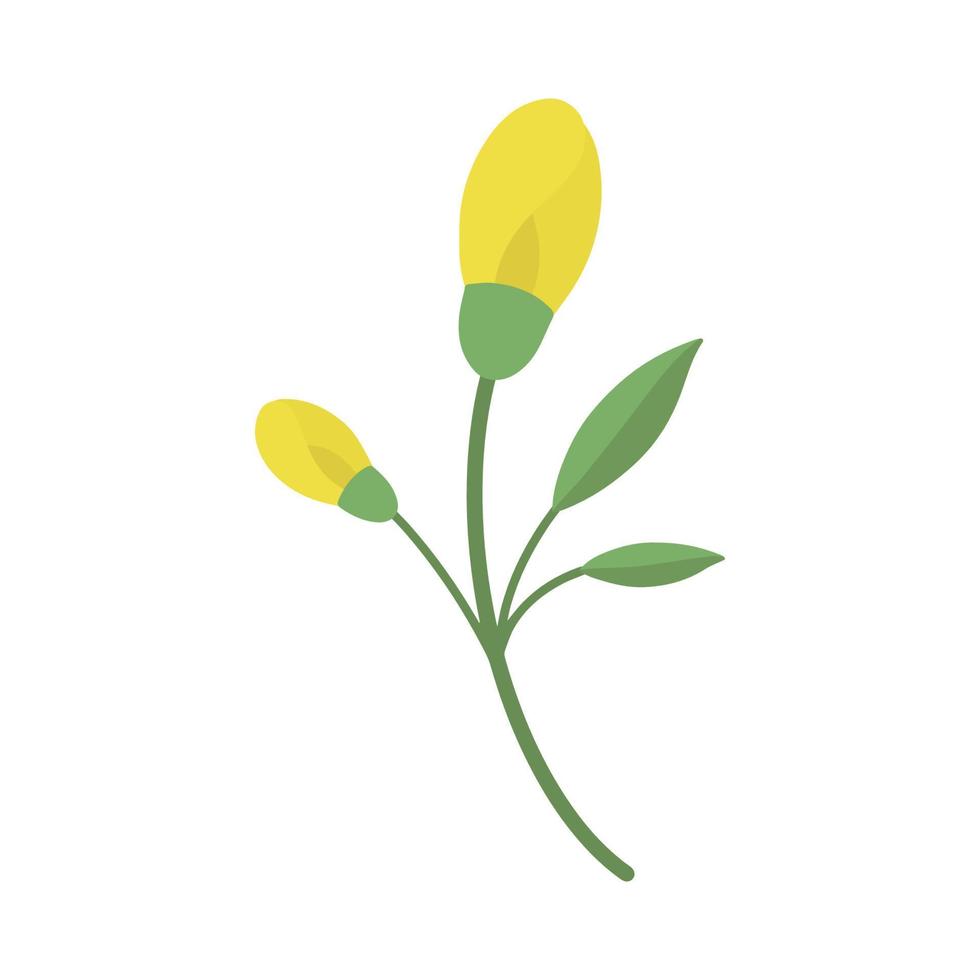 A delicate sprig of yellow flowers. Vector illustration of vintage cute yellow flowers. Delicate flower for decoration. Isolated.