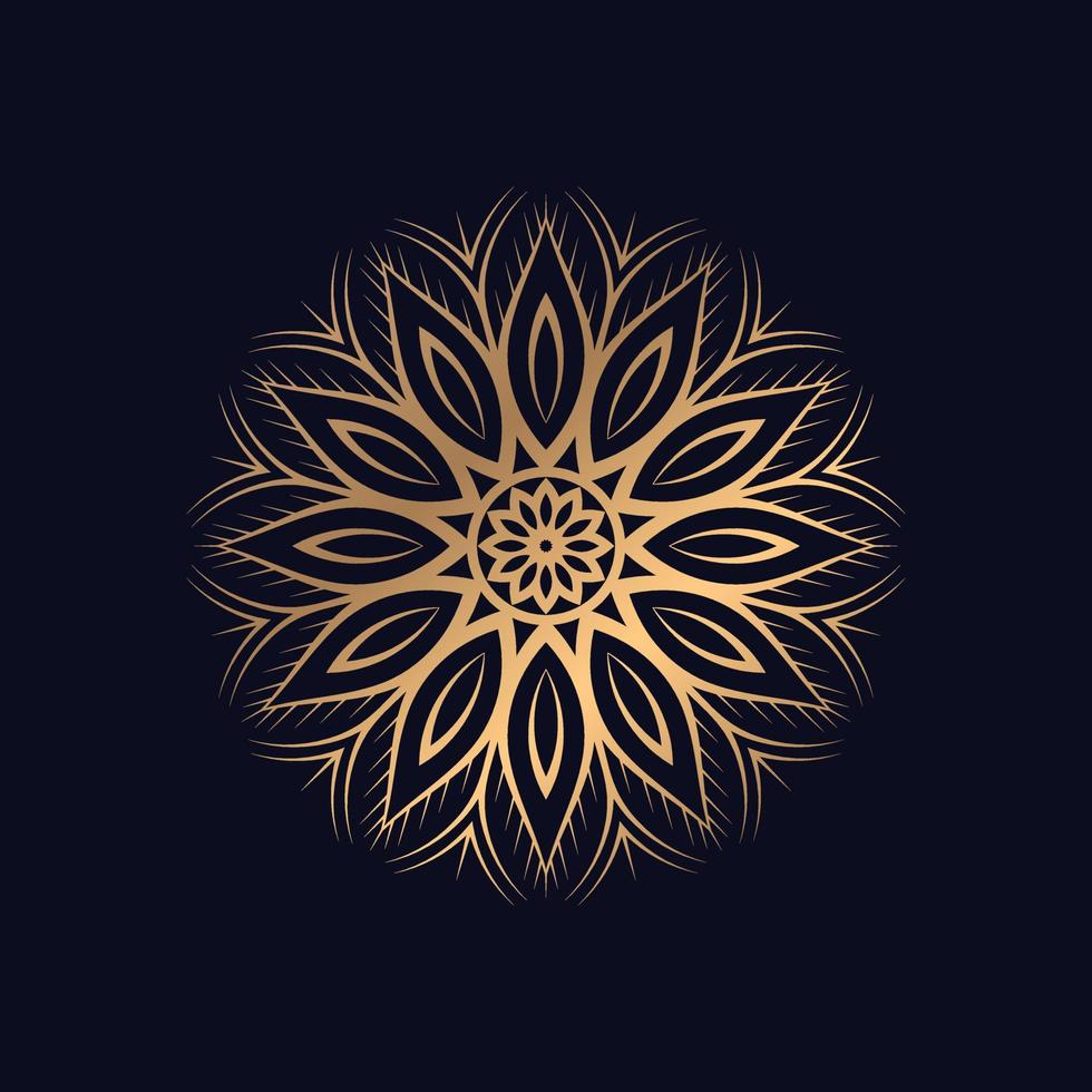 Abstract Circular Decorative in form of mandala vector