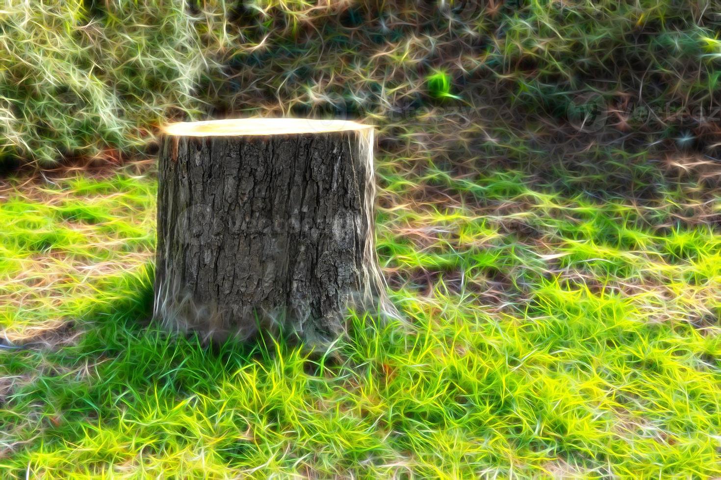 tree stump with a neon-style on the meadow photo