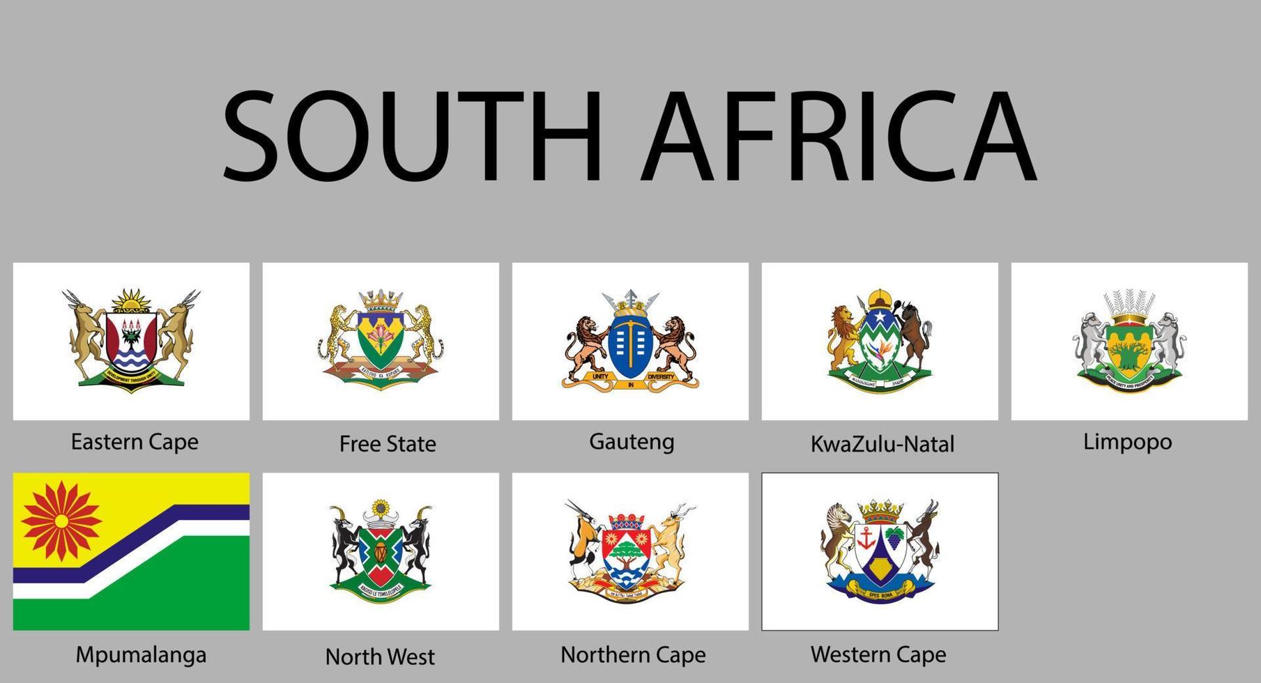 all Flags of regions South Africa vector