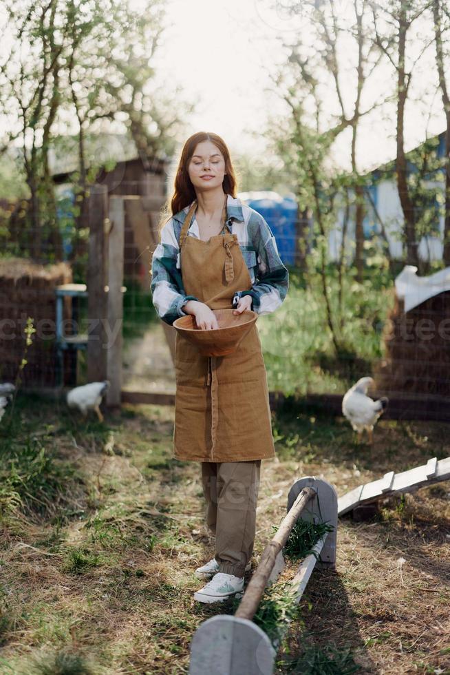 A woman pours organic feed into a chicken feeder at a farm in a plaid shirt, pants, and apron on a sunny summer evening sunset photo