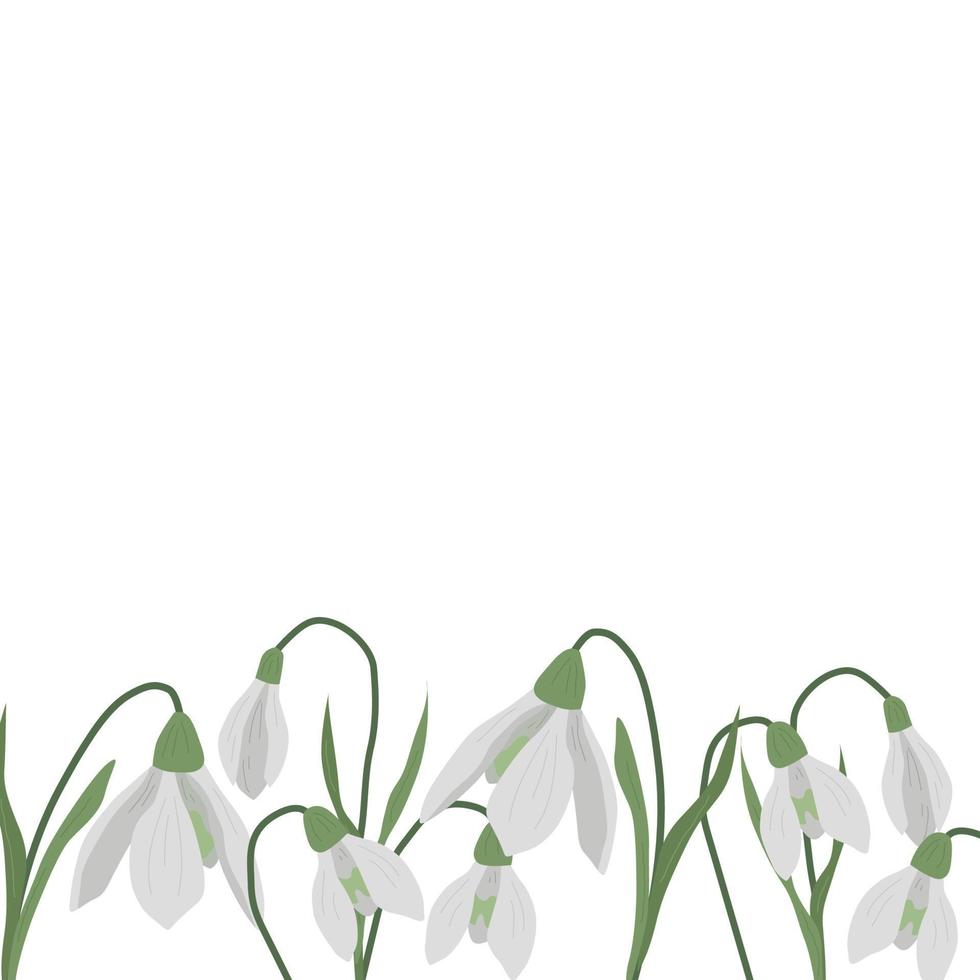 A frame of snowdrops for your design. vector