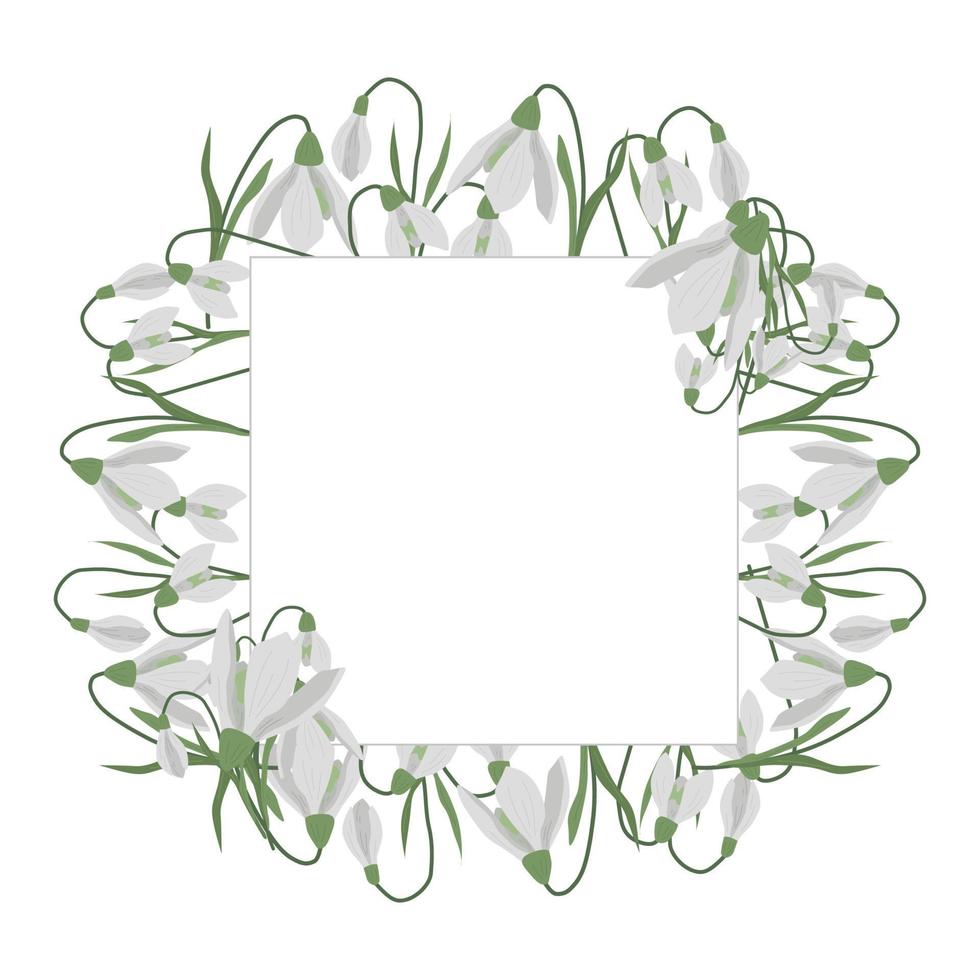 A frame of snowdrops for your design. vector