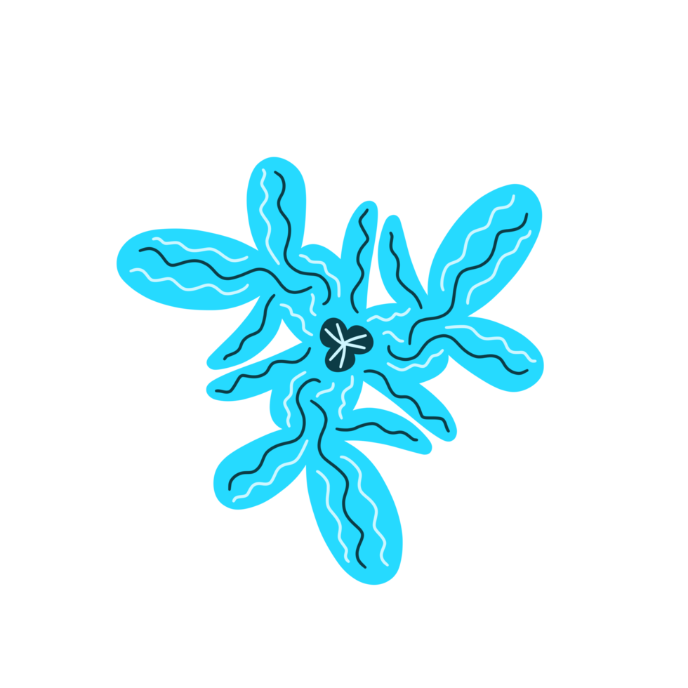 Flower Aesthetic Ornament Decoration png