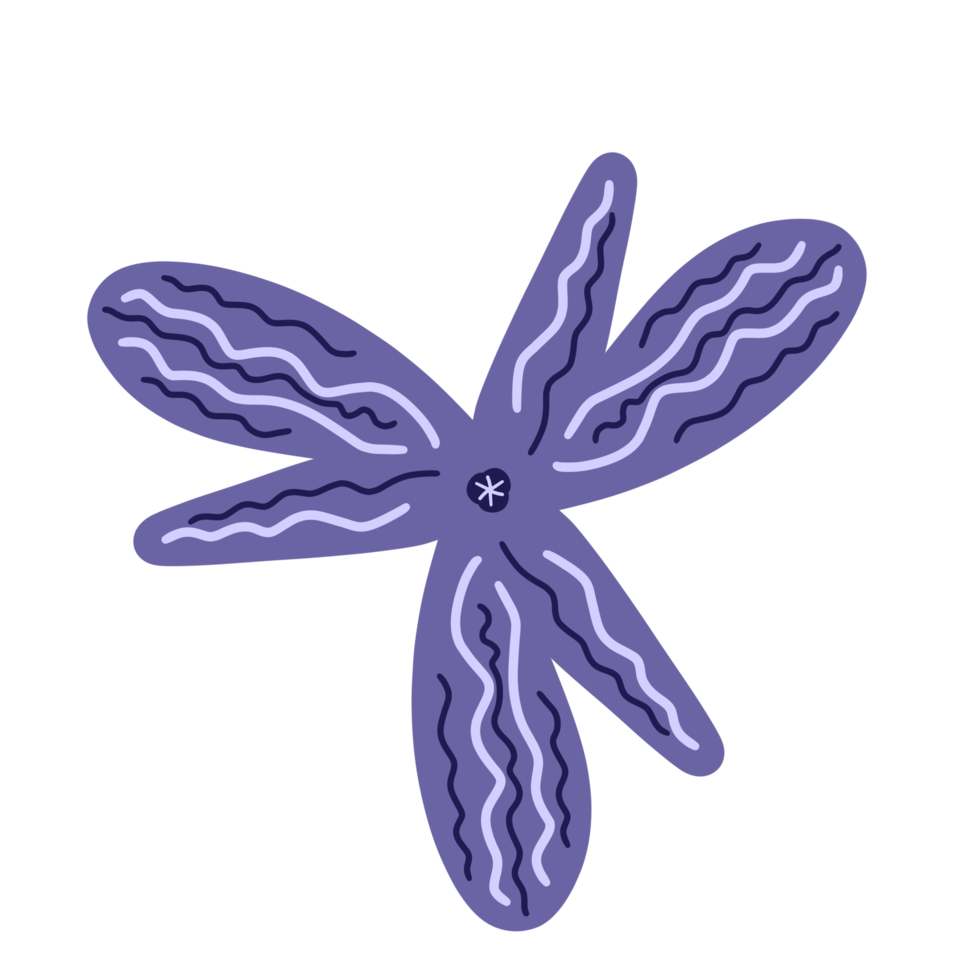 File:Protozoa.png - Wikimedia Commons