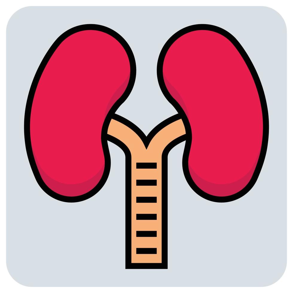 lleno color contorno icono para pulmones. vector