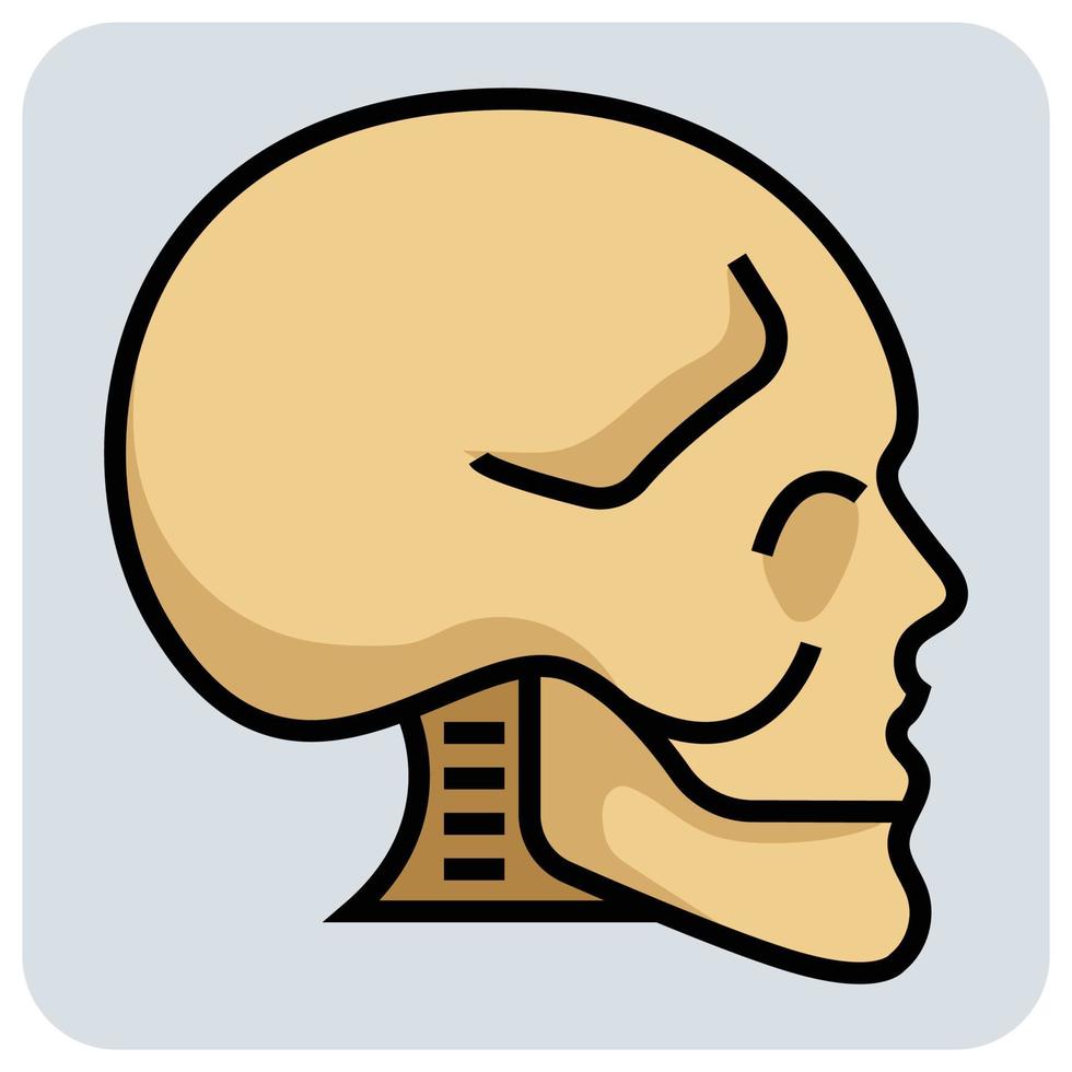 Filled color outline icon for Skull. vector