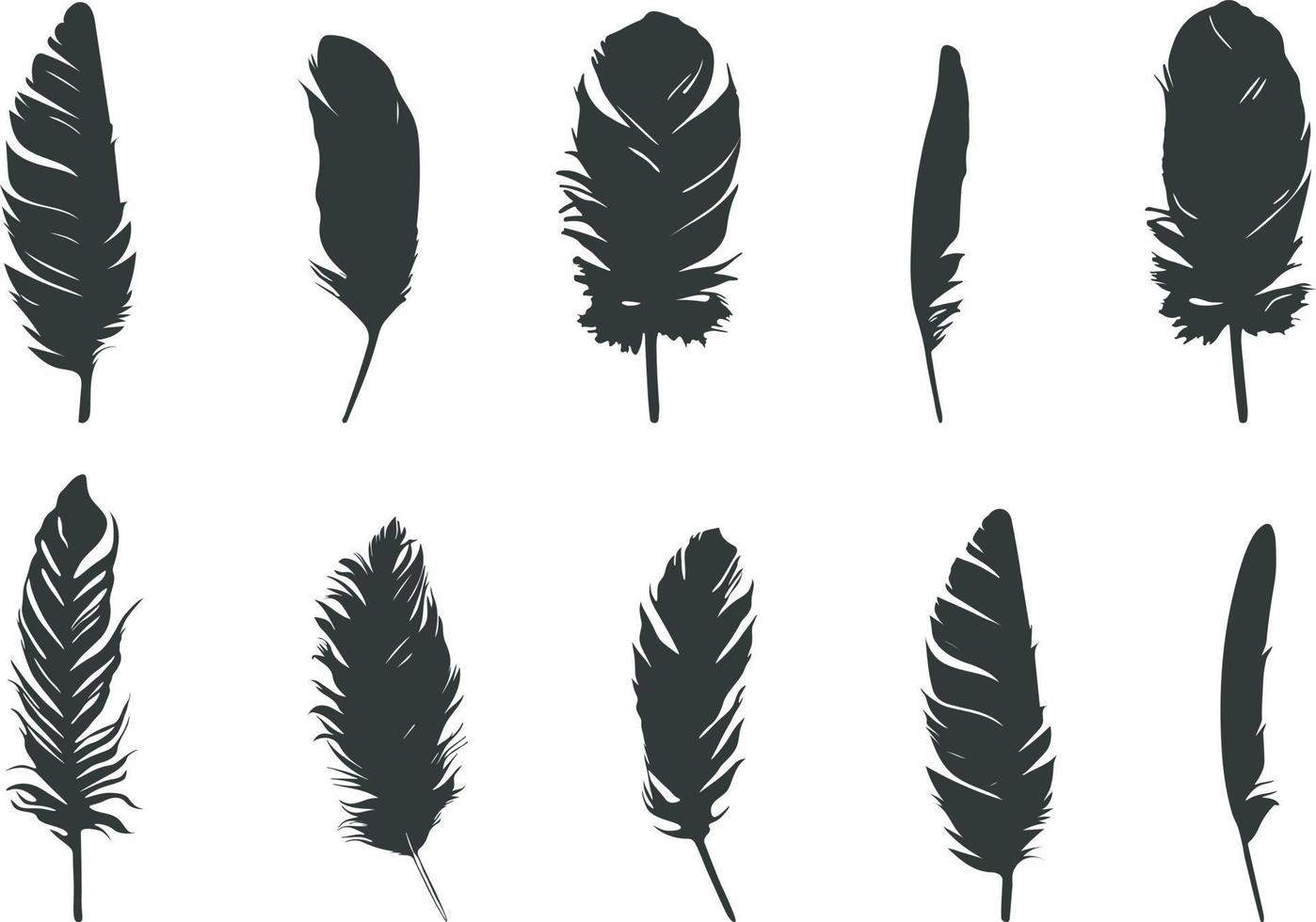 Feather silhouette, Feather of birds silhouette, Feather vector icon