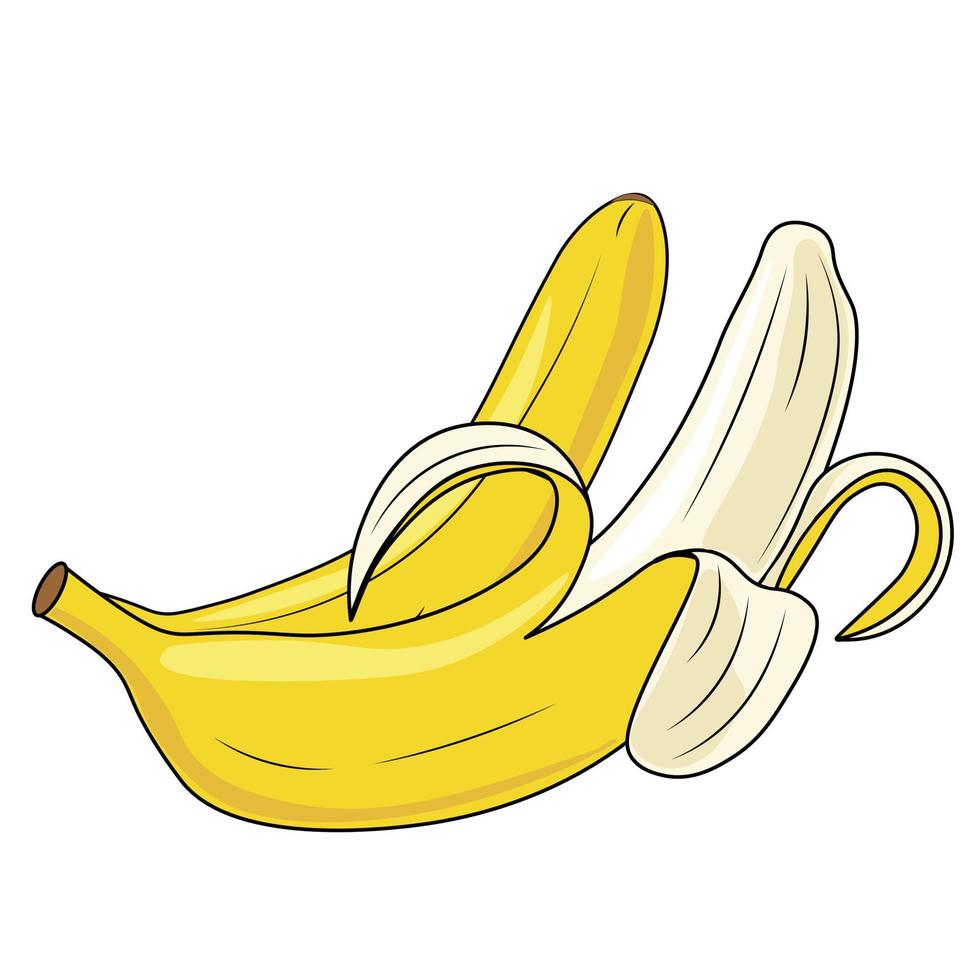 ilustración vectorial de fruta de plátano vector