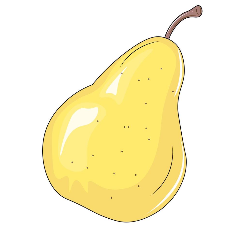 vector illustration of a pear fruit