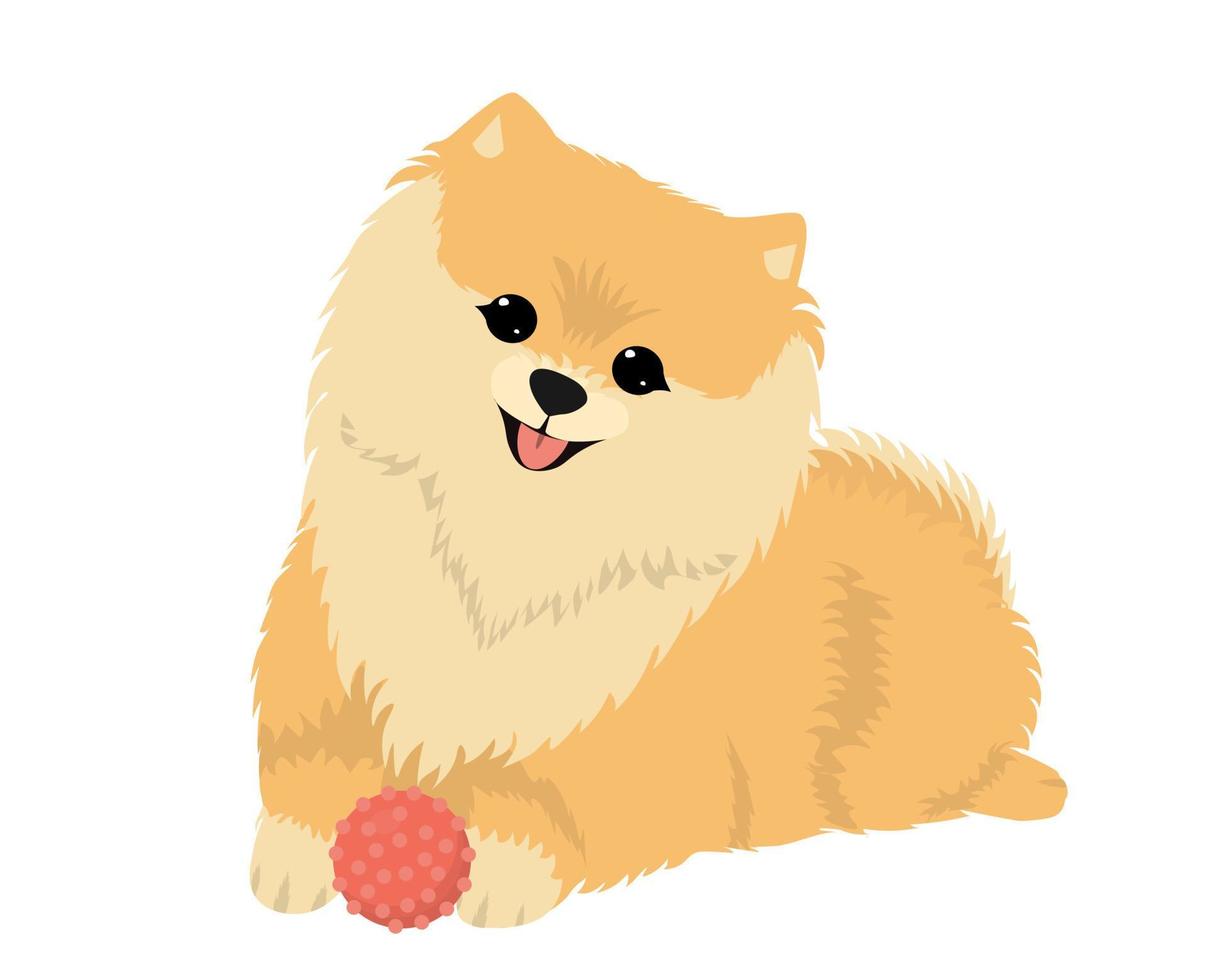 linda perro perro de Pomerania con un pelota vector plano ilustraciones.