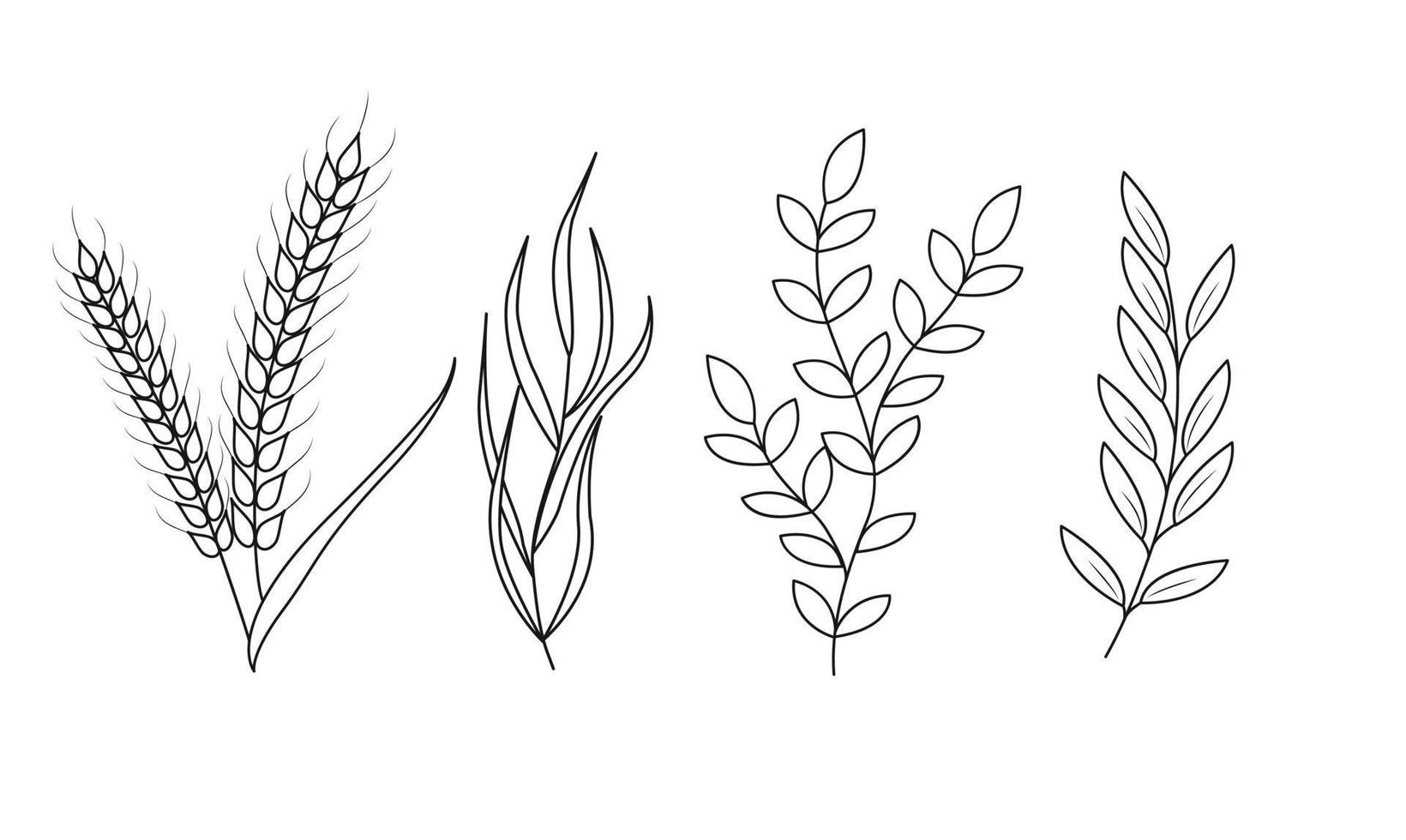 Floral set of hand drawn botanic elements. Vector illustration.