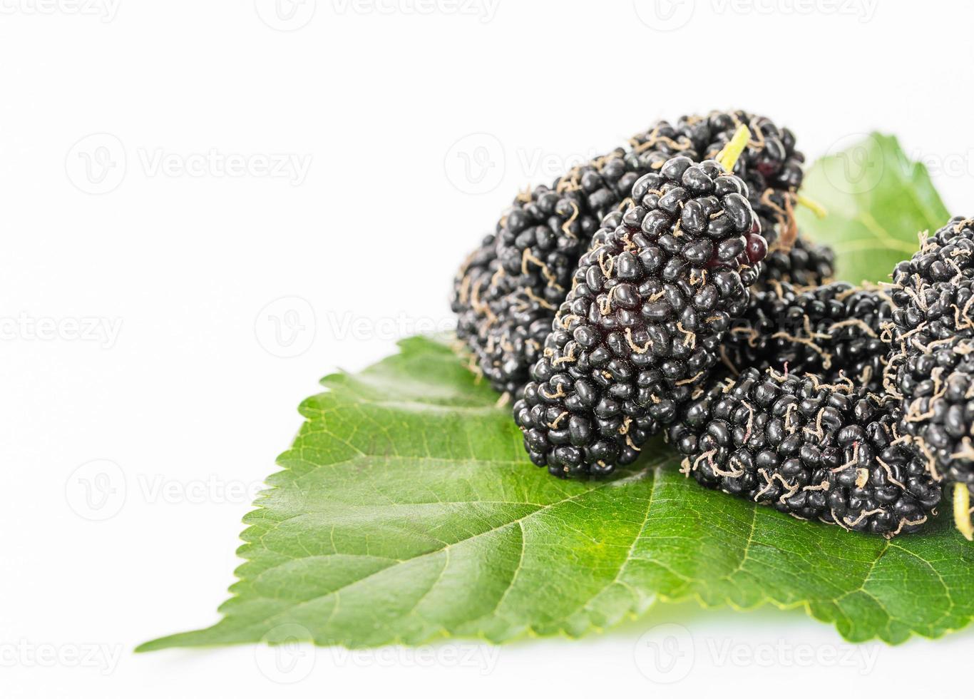 Mulberry with green leaf on the white photo