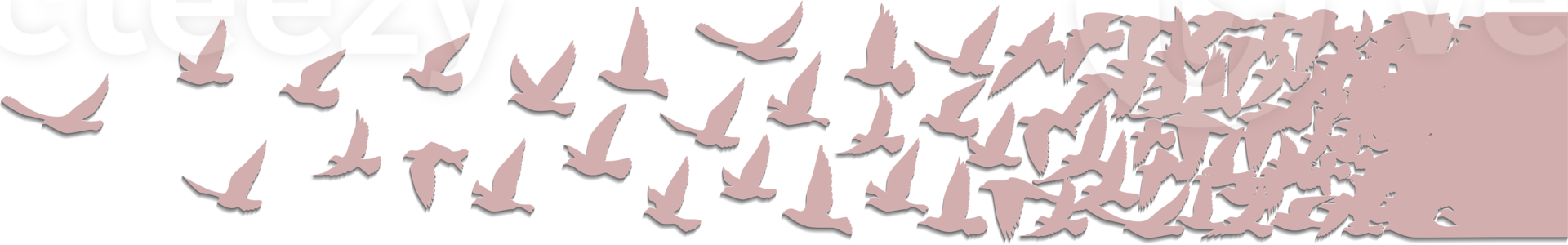papel de parede padrão de silhuetas de pássaros voando. png transparente. pássaro isolado voando. desenho de tatuagem. modelo para cartão, pacote e papel de parede.