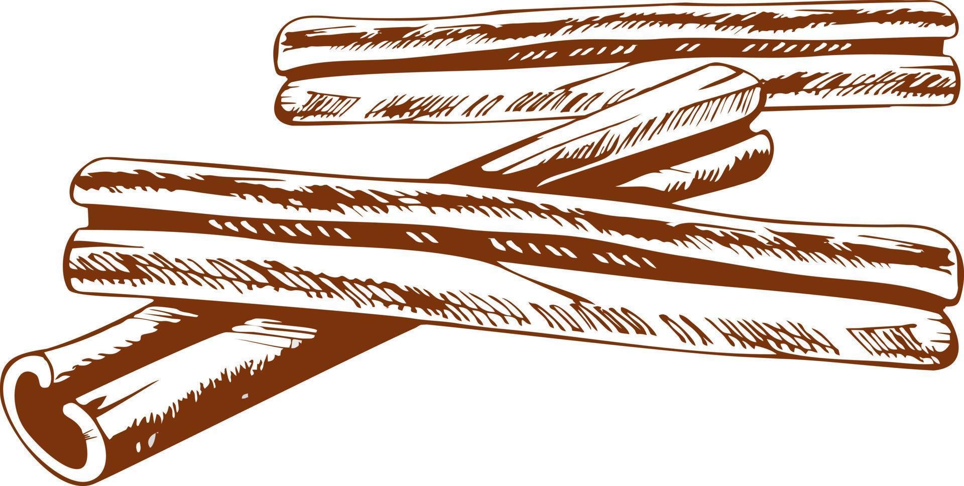 Cinnamon sticks, hand drawn vector illustration
