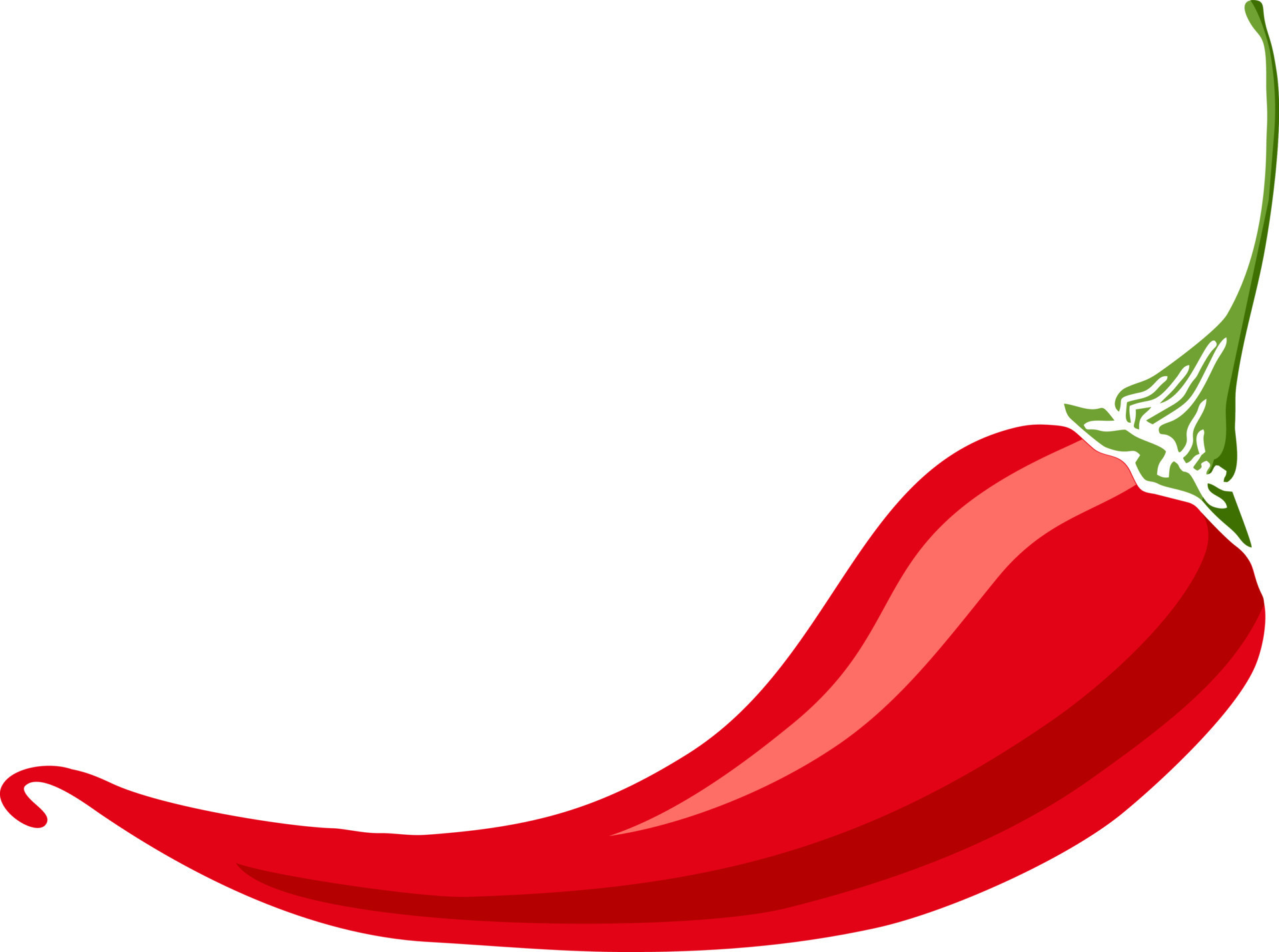 Chili pepper. emblem design with red pepper jalapeno. Vector