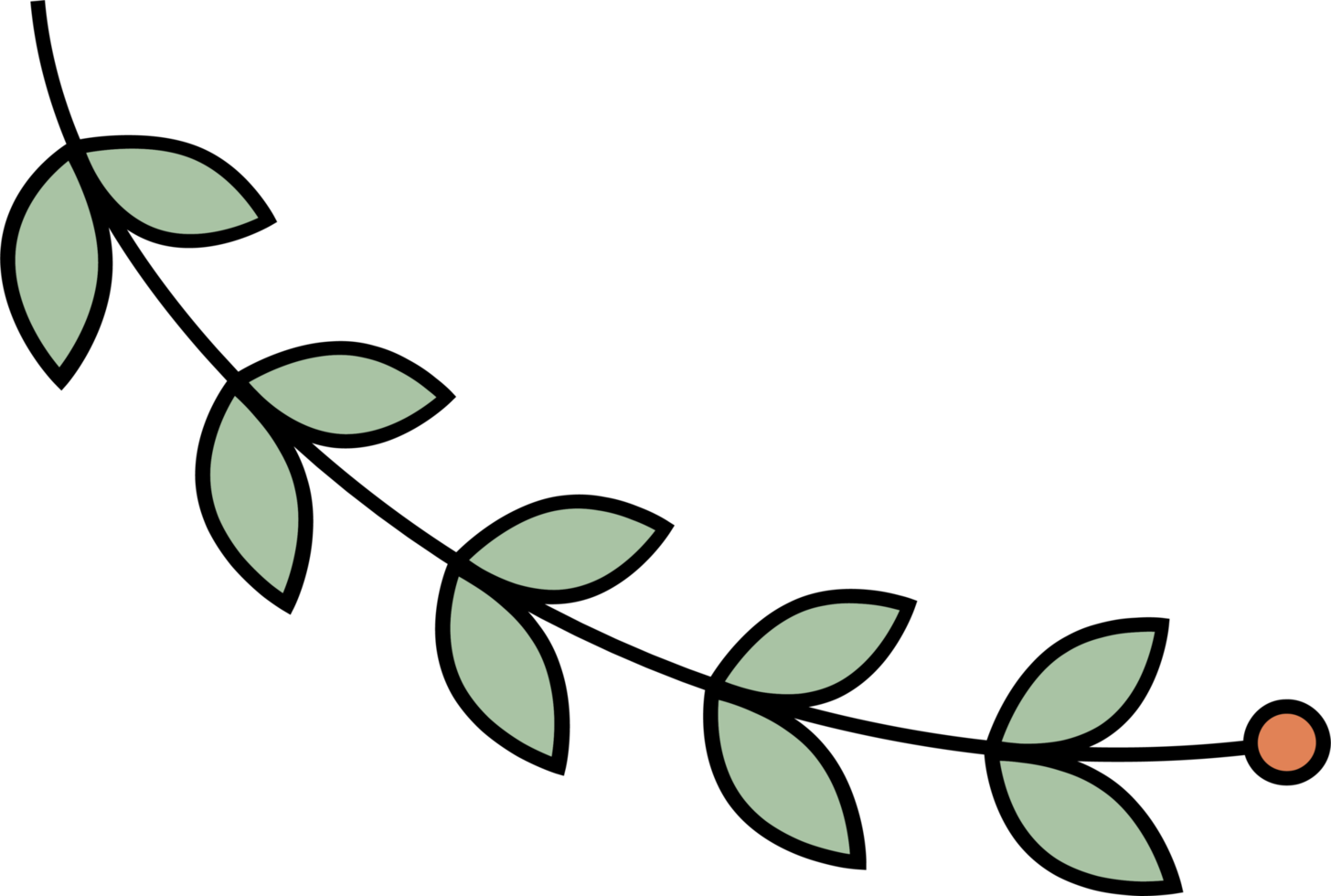 Outline flower with leaves clip art png