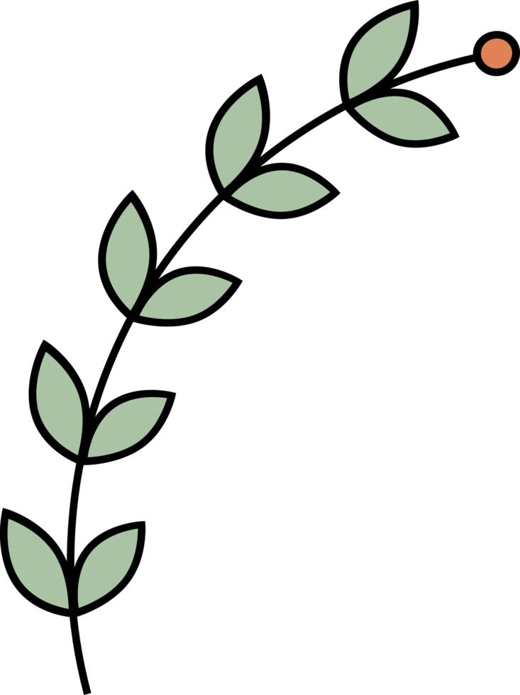 Outline flower with leaves clip art png