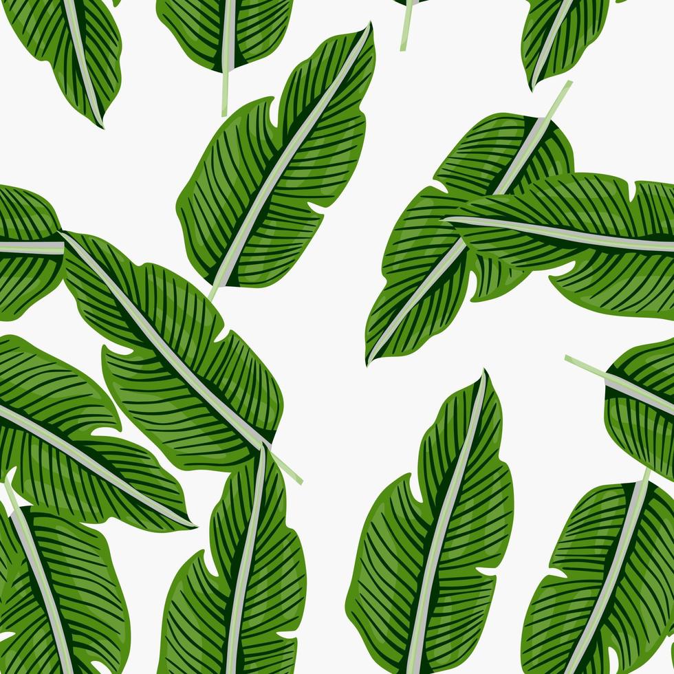 tropical hoja sin costura modelo. exótico hojas antecedentes. selva plantas interminable fondo de pantalla. selva floral hawaiano fondo. vector