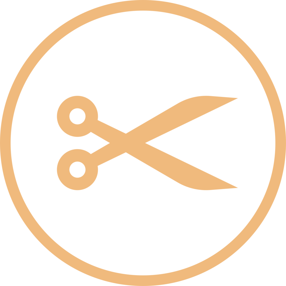 Scissors icon in flat style png