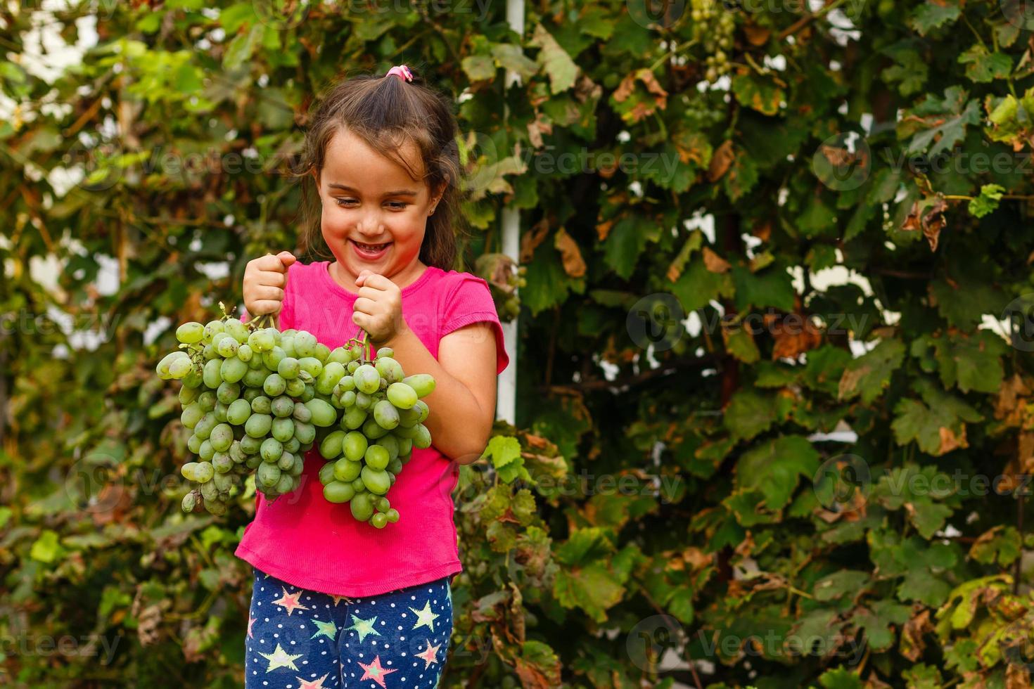 Little girl with grapes outdoors photo