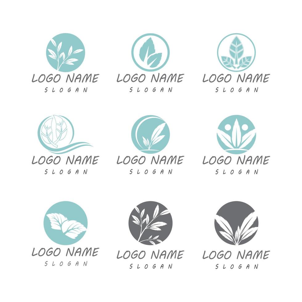 Mint leaves flat vector color icon template illustration design