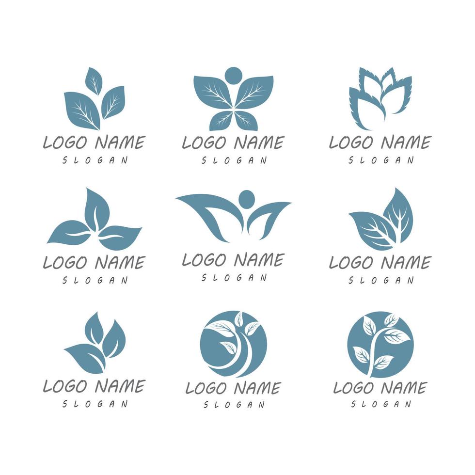 Mint leaves flat vector color icon template illustration design