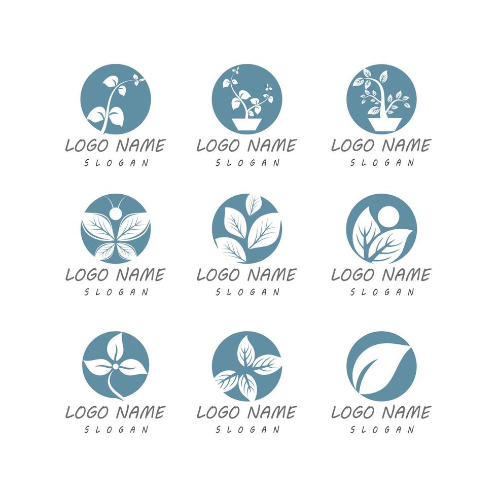 Mint leaves flat vector color icon template illustration design