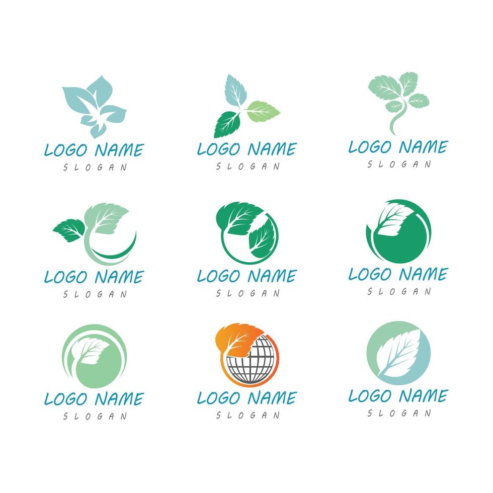 Mint leaves flat vector color icon template illustration design