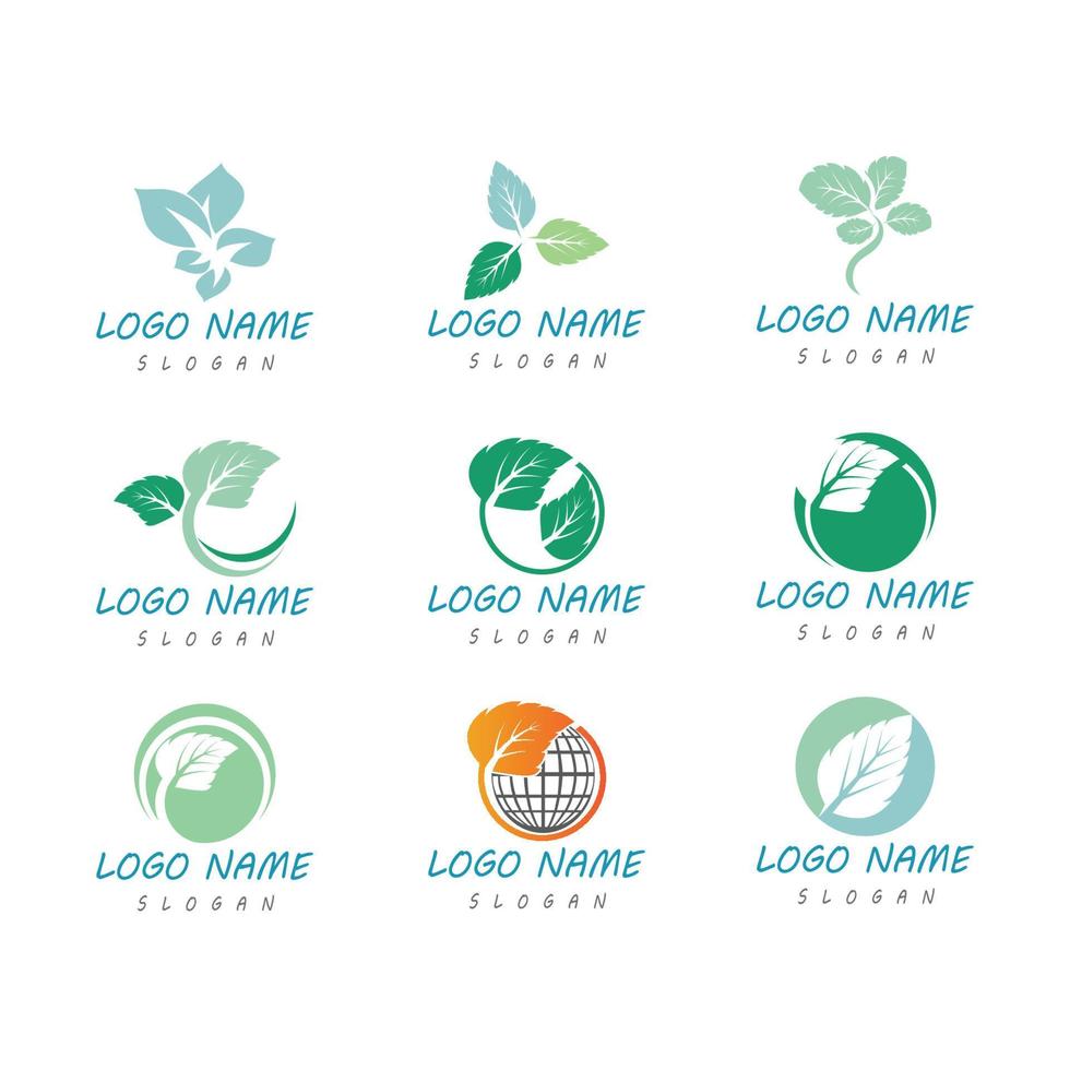 hojas de menta, plano, vector, color, icono, plantilla, ilustración, diseño vector