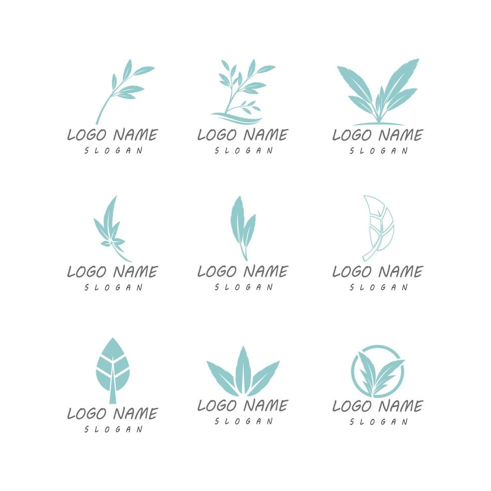 Mint leaves flat vector color icon template illustration design