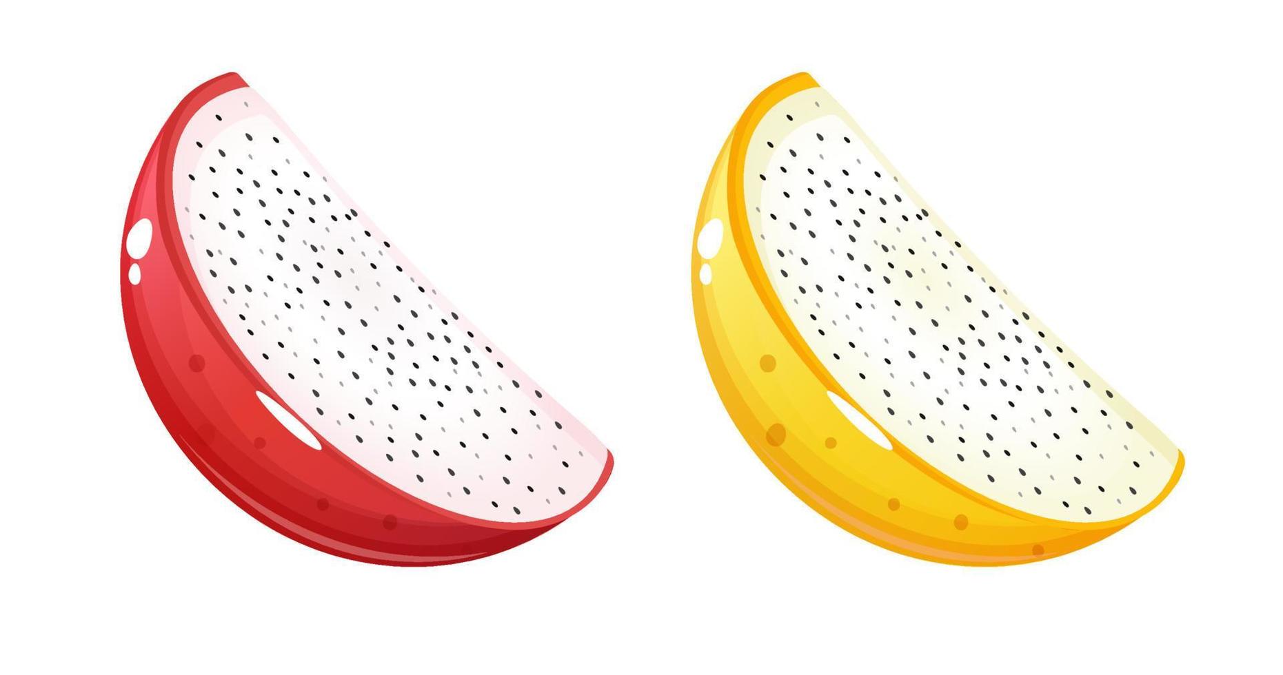 Yellow and pink dragon fruit slices. vector