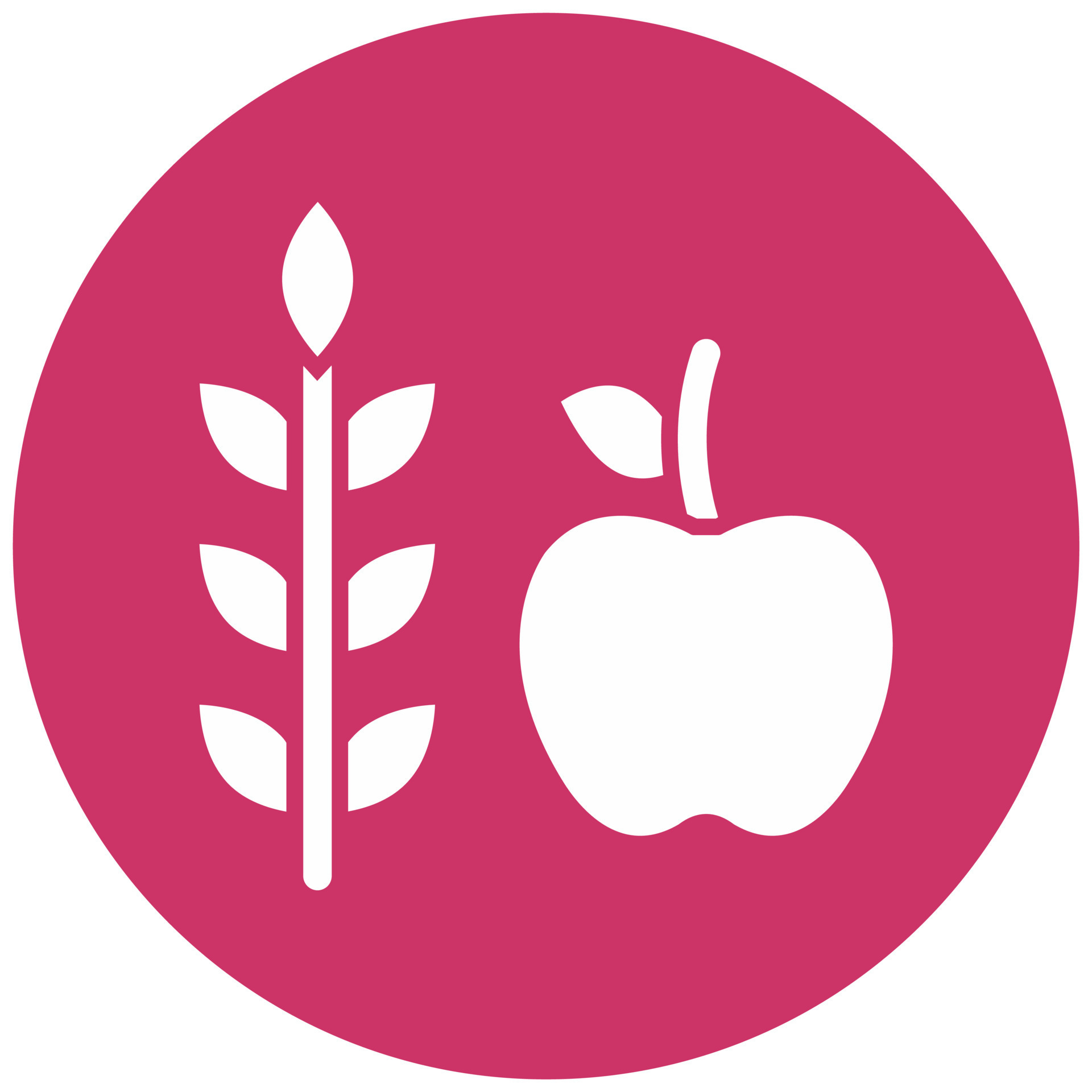 High Fiber Food Vector Icon Style 22195863 Vector Art at Vecteezy
