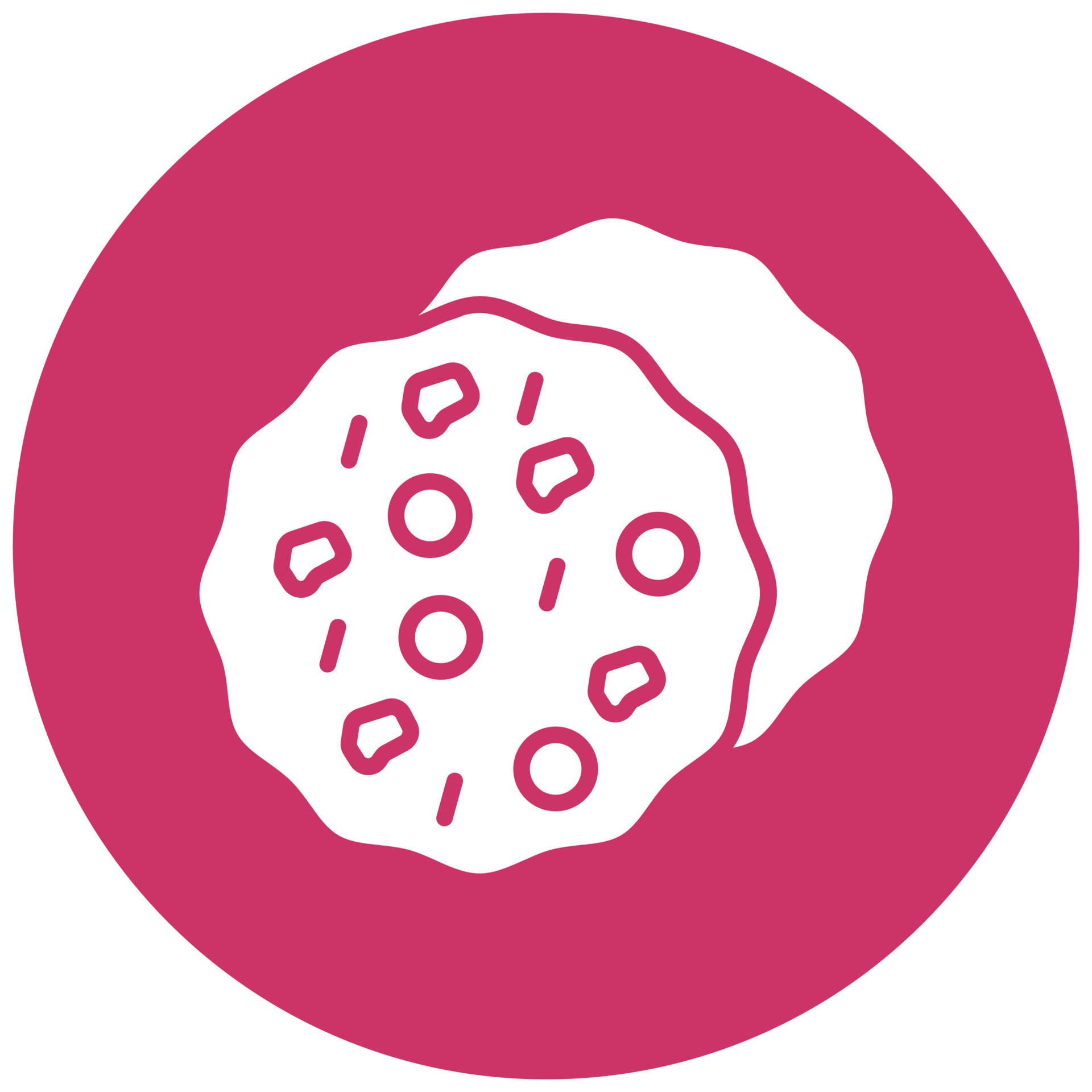 Chocolate Chip Vector Icon Style 22196286 Vector Art at Vecteezy