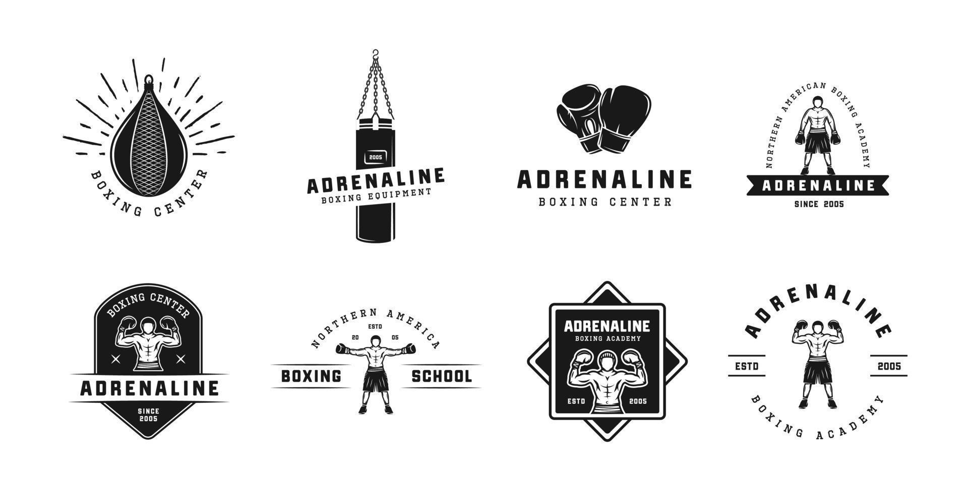 boxeo y marcial letras logo insignias y etiquetas en Clásico estilo. motivacional carteles con inspirador citas. vector