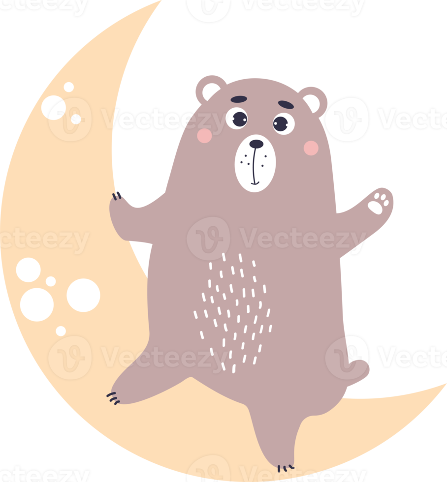 Cute animal  bear on moon png