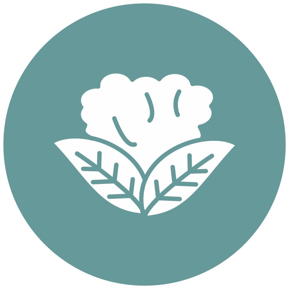Cauliflower Vector Icon Style